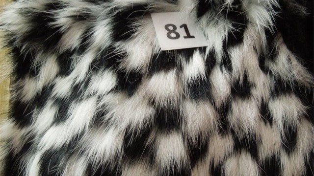 collection 4 pelo 81
